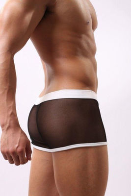 Merry See - Merry See Erkek Siyah Beyaz Transparan Boxer (1)